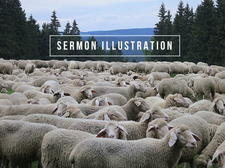 The Shepherd’s Voice (Sermon Illustration)
