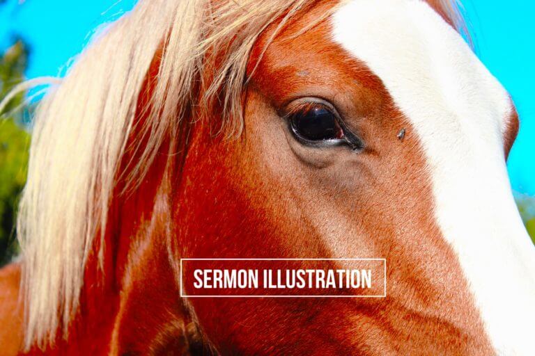 Find the Pony (Sermon Illustration)