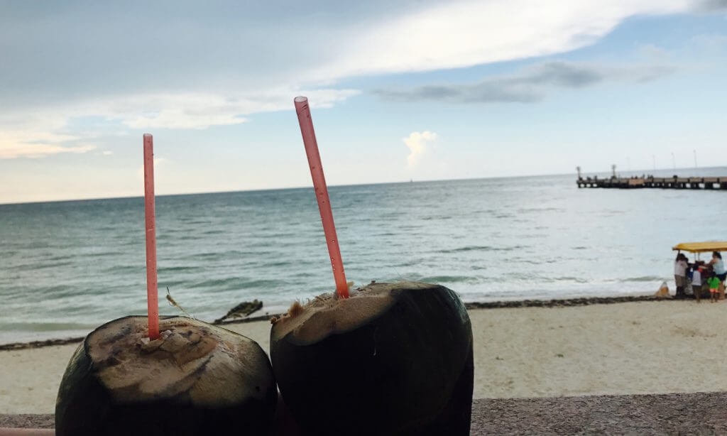 Coconut Drinks on Vacation